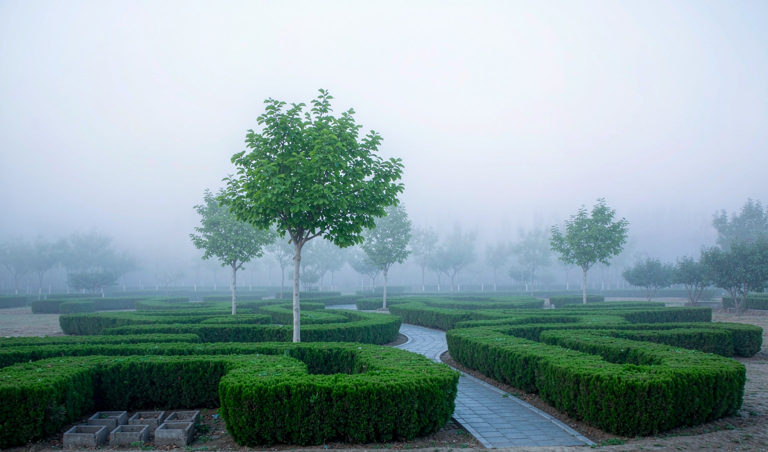 南京节地生态安葬:补贴标准与申请